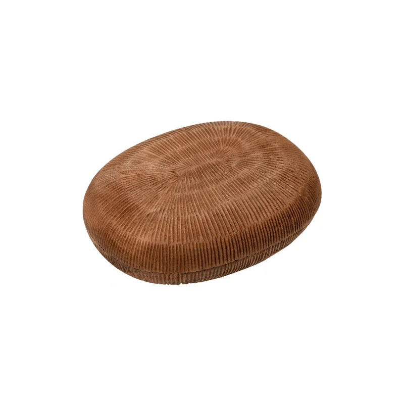 aplusrstore2357179
