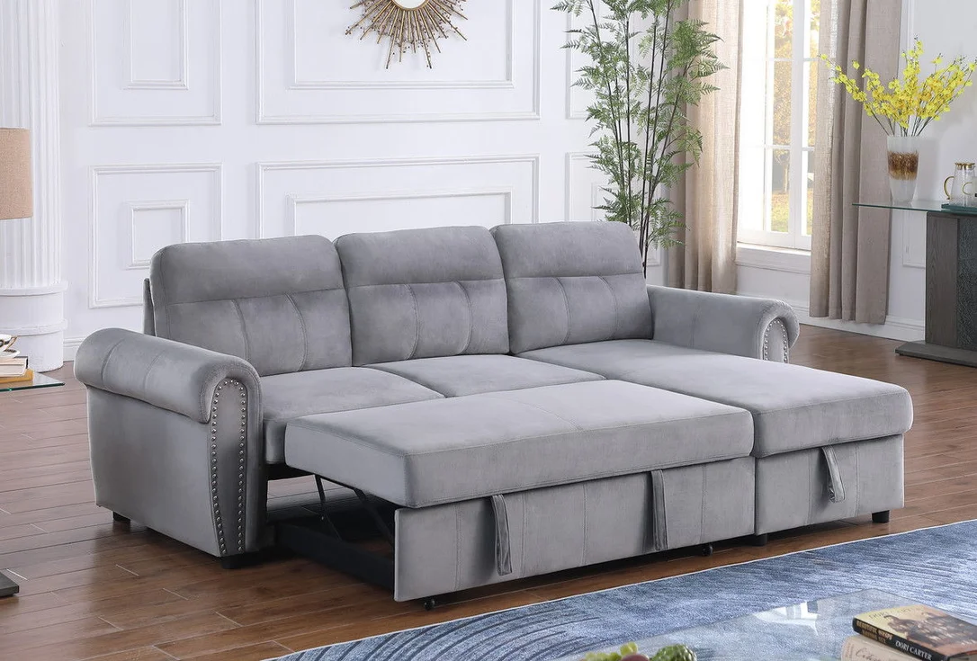 dreameehome12316163