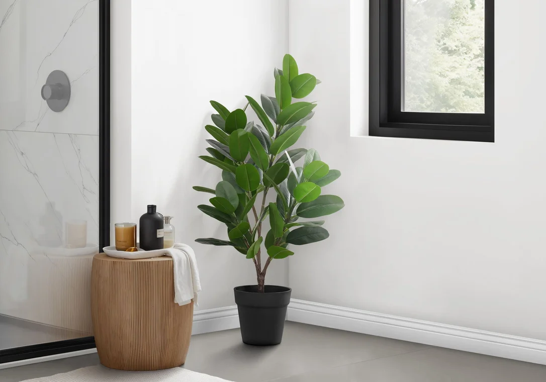 dreameehome12351690