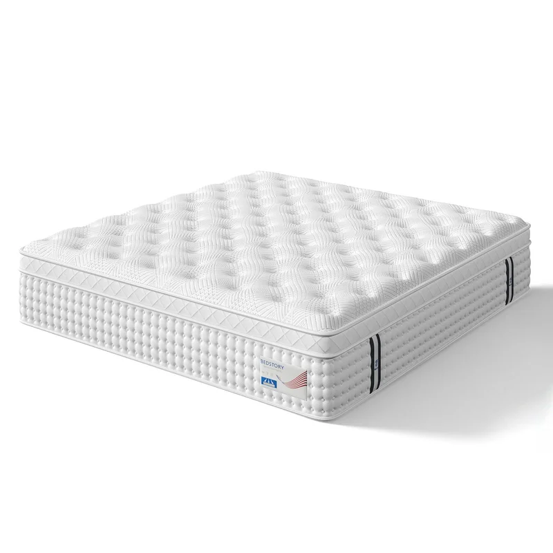 dreameehome2227513