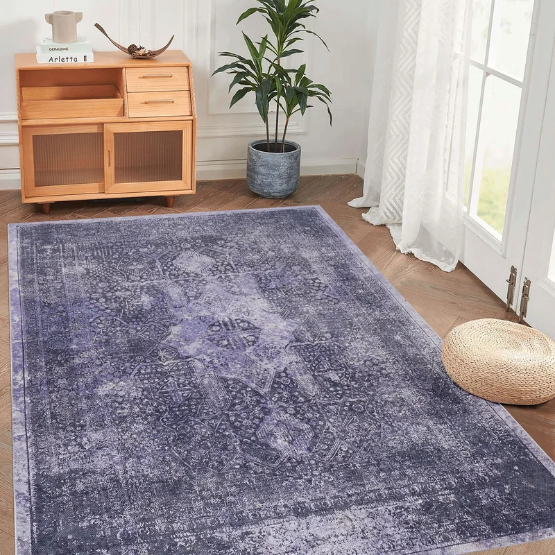 dreameehome2271300