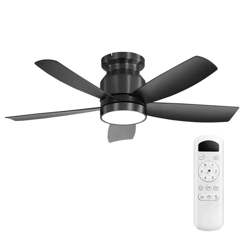 dreameehome2275890