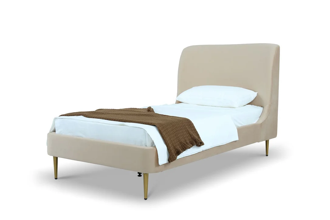 dreameehome3174875