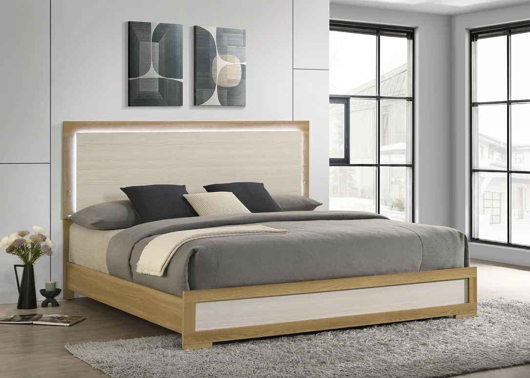 dreameehome3195429