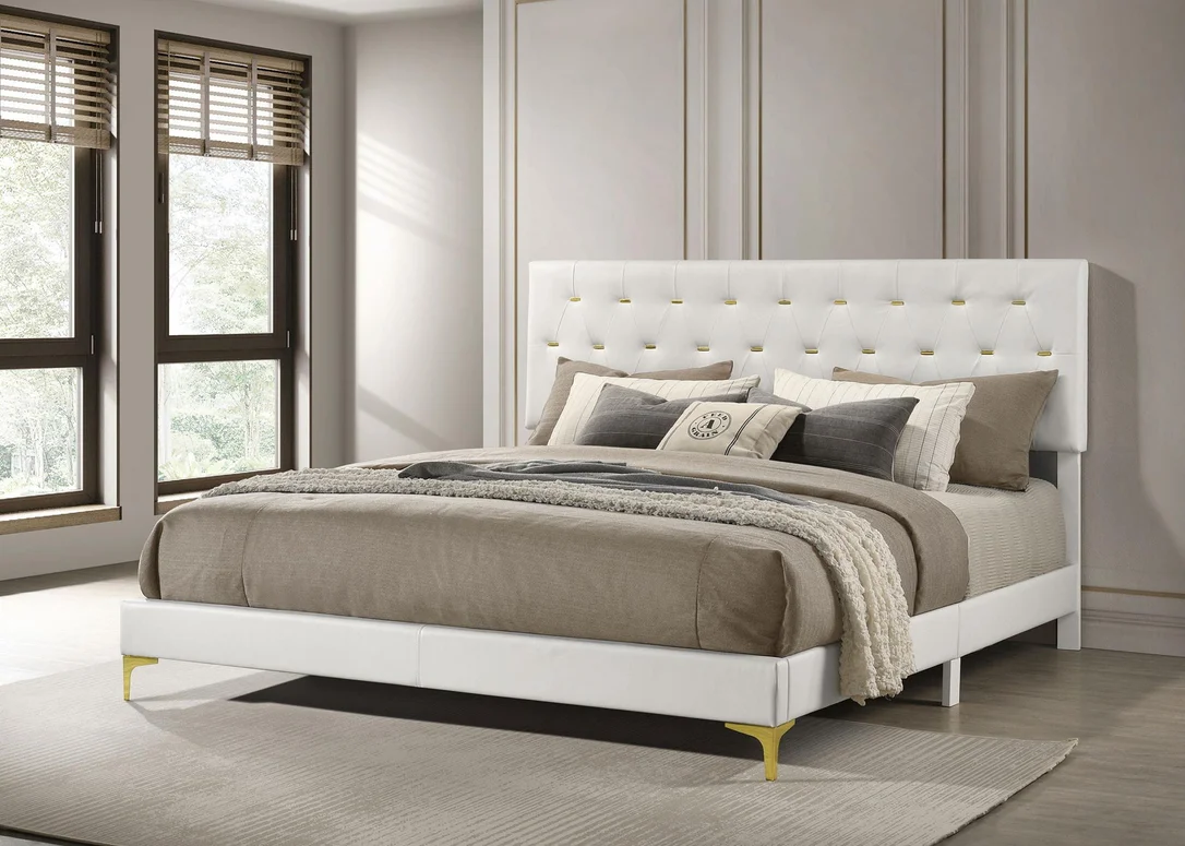 dreameehome3202885