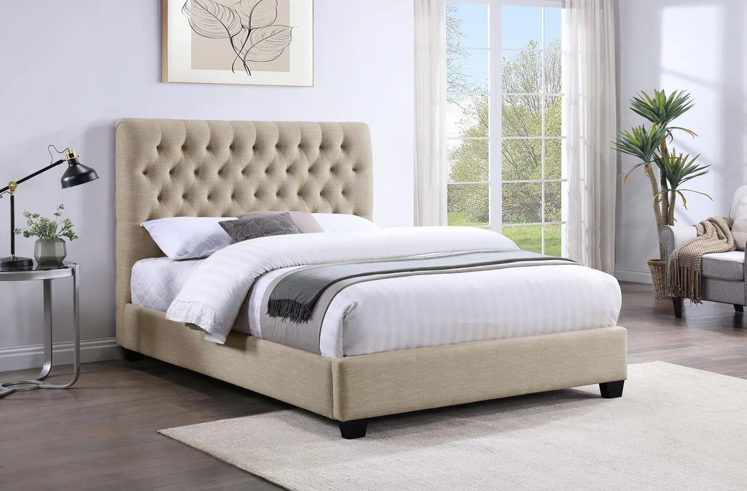 dreameehome3276932