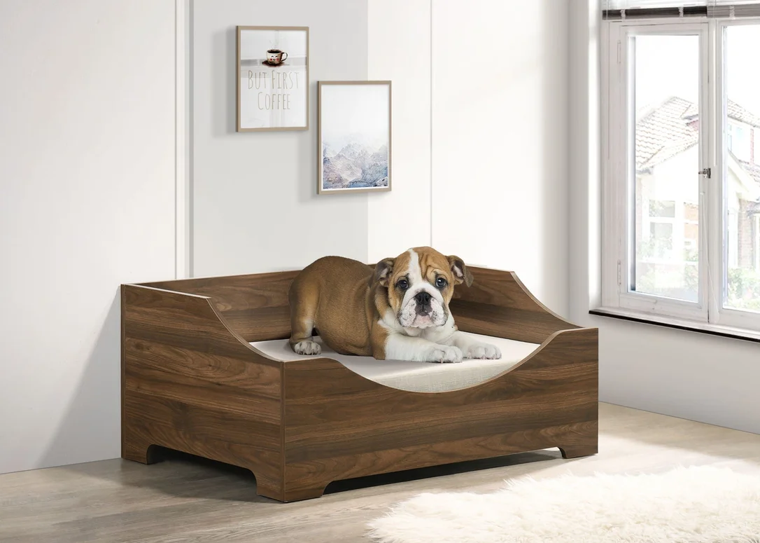 dreameehome4159779