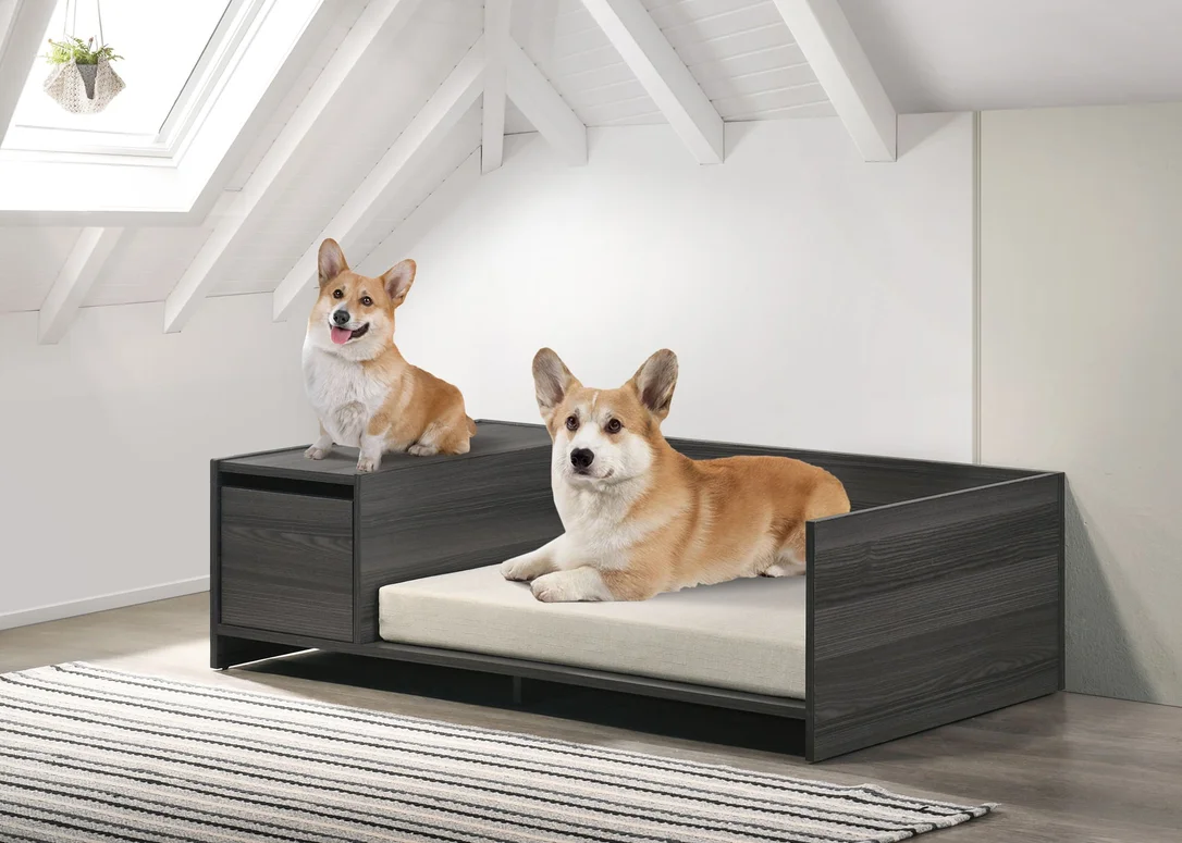 dreameehome4159789