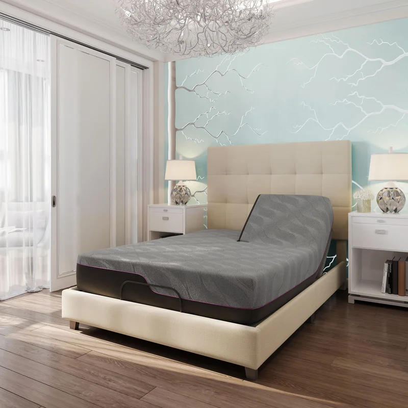 dreameehome4253843