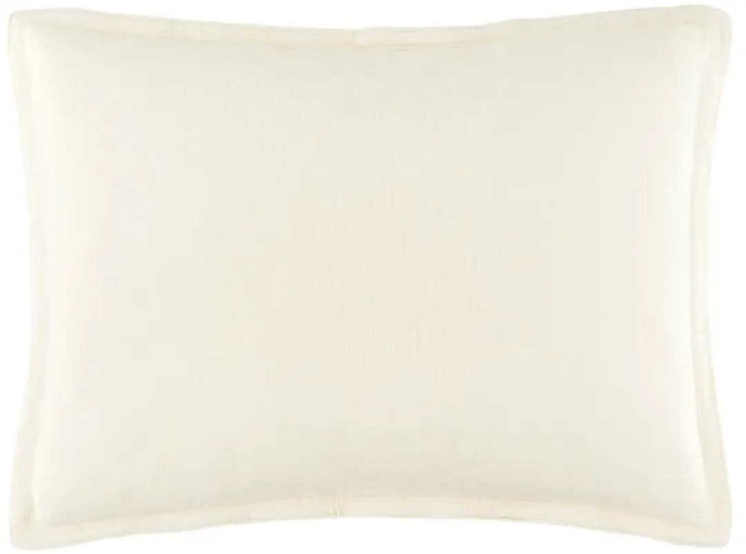 furniture4-384403