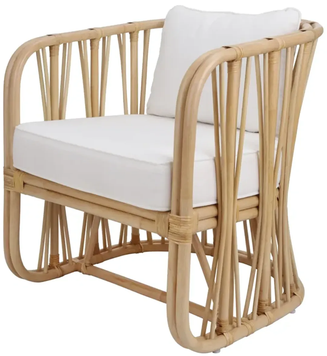 furniture4-477994