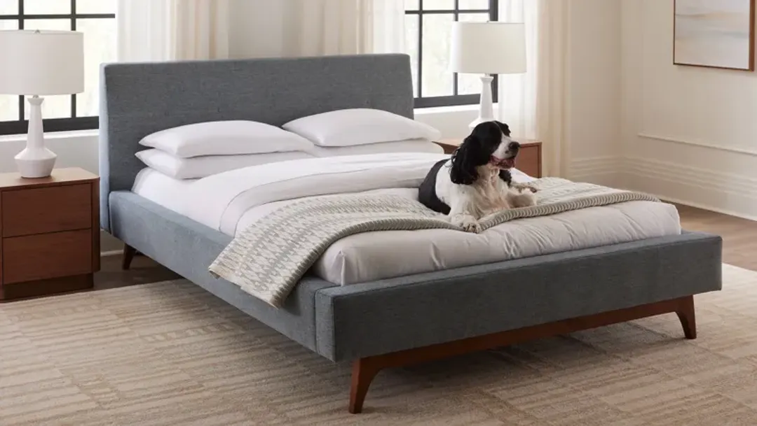 furniture4-490150