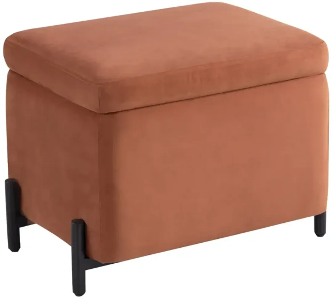 furniture4-494293