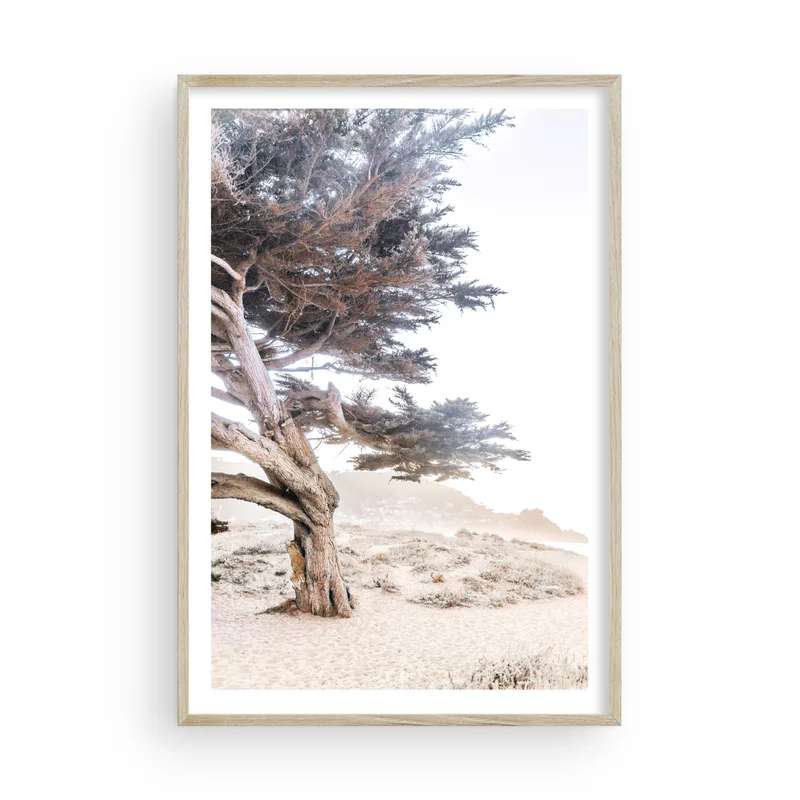 puresaltinteriors173756
