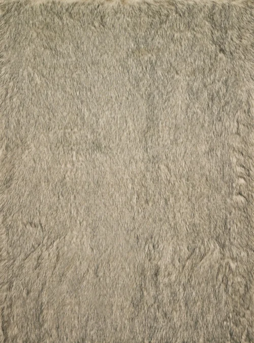 studiolx5-44657