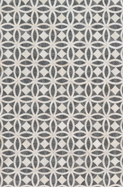 studiolx5-68580